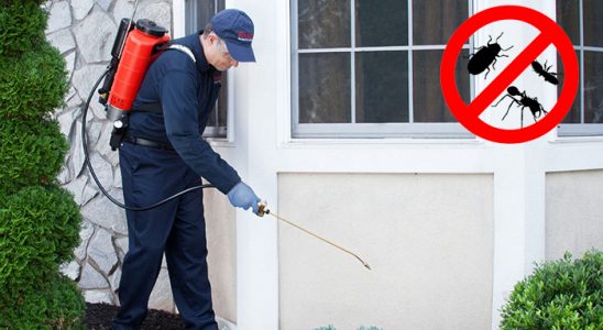 Sincik Fare İlaçlama böcek ilaçlama ve haşere kontrolü — ilaclama-tr.com
